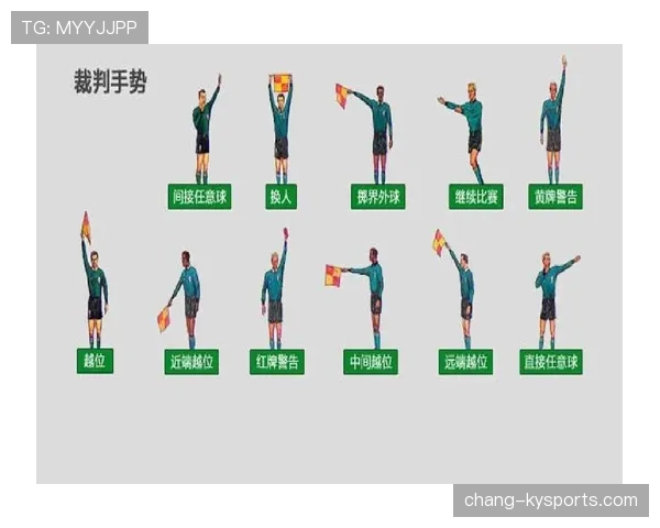 如何判断球场上的恶意犯规：看懂裁判手势的关键