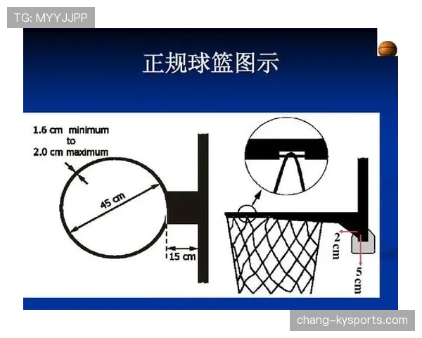 篮球规则里关于五秒违例的判定细节与具体执行标准说明